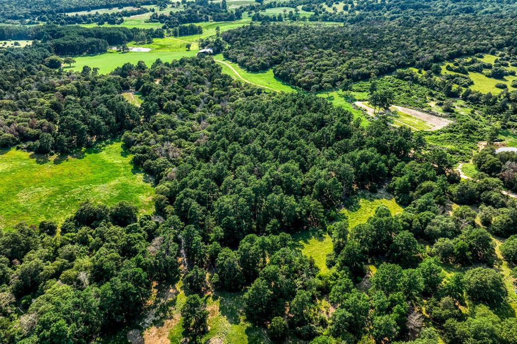 TBD (15.682 Acres) Stockade Ranch Road , Paige, Texas image 36