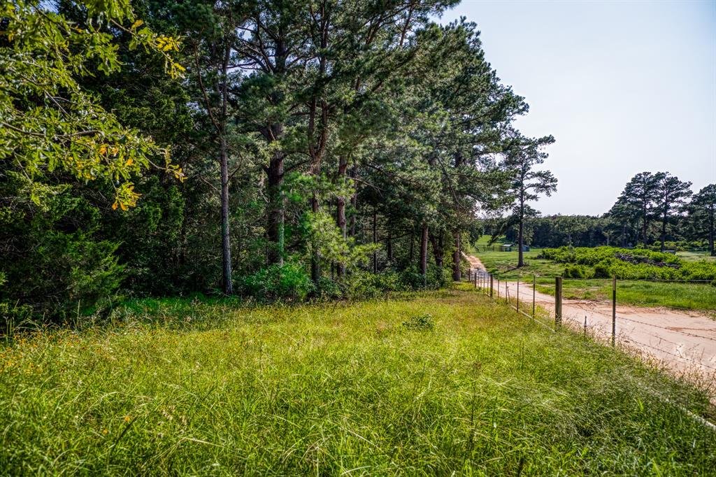 View of the property upon entering the entrance gate.