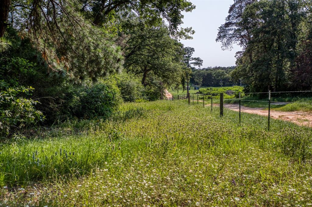 View of the Northeast boundary line.