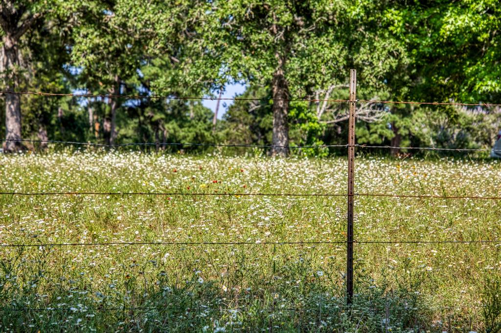 TBD (15.682 Acres) Stockade Ranch Road , Paige, Texas image 7