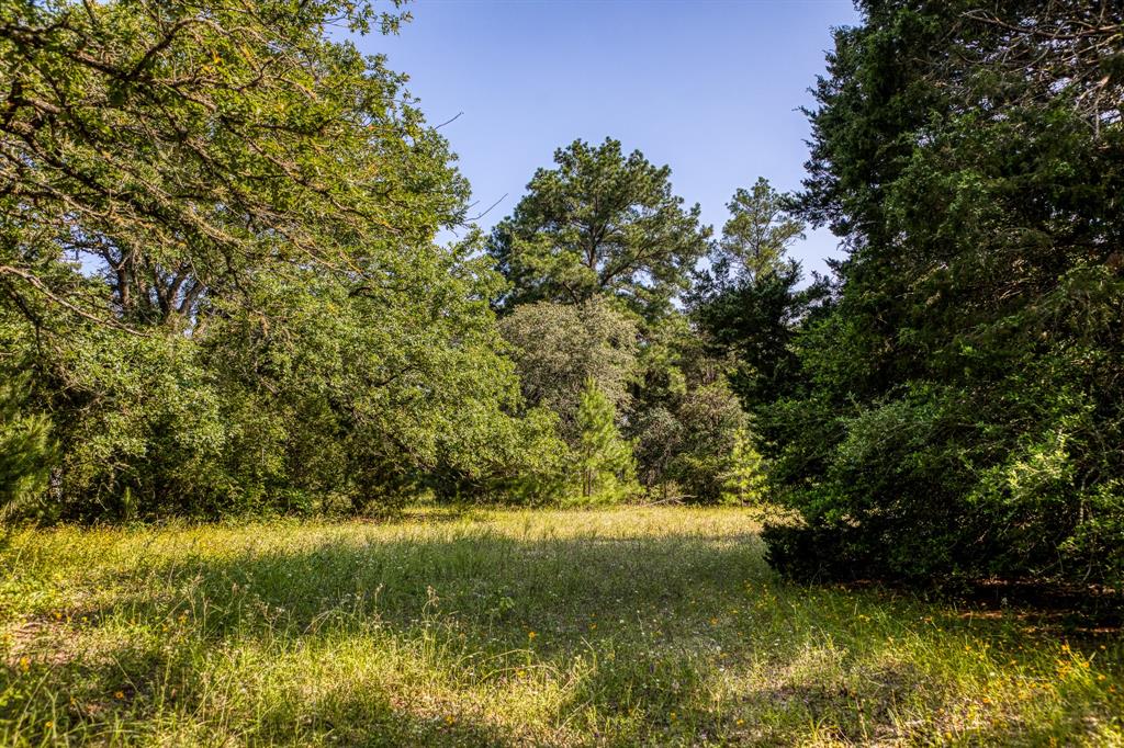 TBD (15.682 Acres) Stockade Ranch Road , Paige, Texas image 8