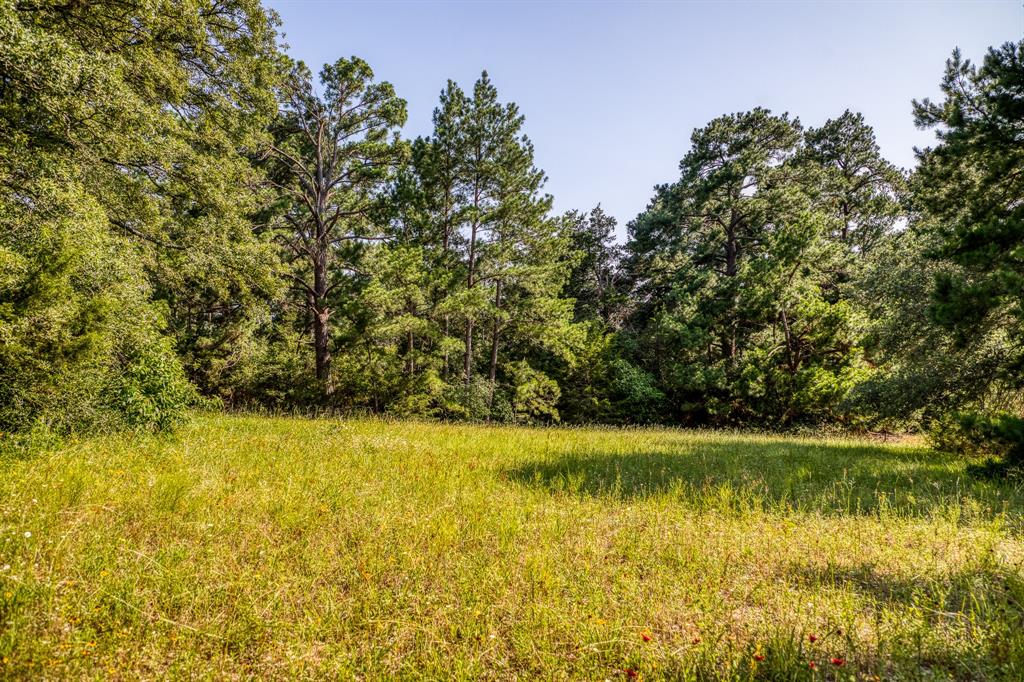 TBD (15.682 Acres) Stockade Ranch Road , Paige, Texas image 9