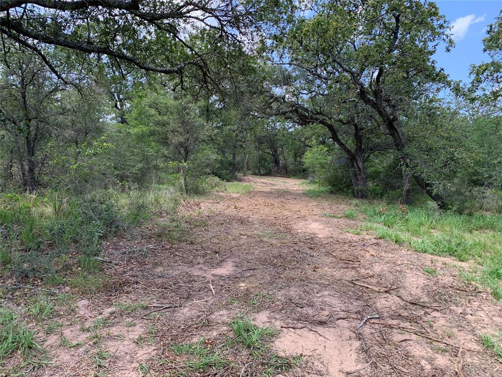 Private Road 1581  , Hallettsville, Texas image 11