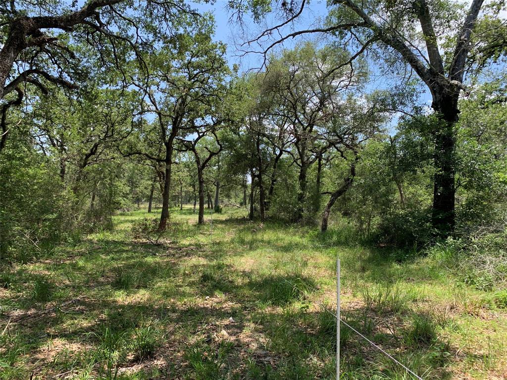 Private Road 1581  , Hallettsville, Texas image 12