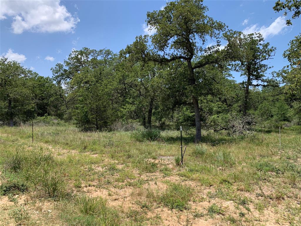 Private Road 1581  , Hallettsville, Texas image 13