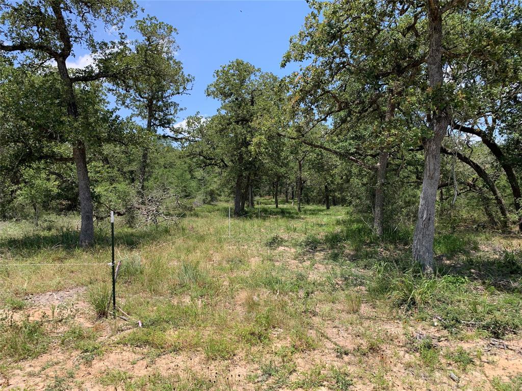 Private Road 1581  , Hallettsville, Texas image 14