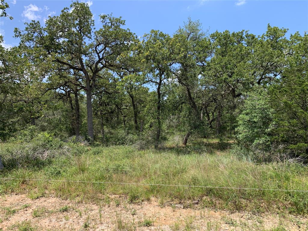 Private Road 1581  , Hallettsville, Texas image 16