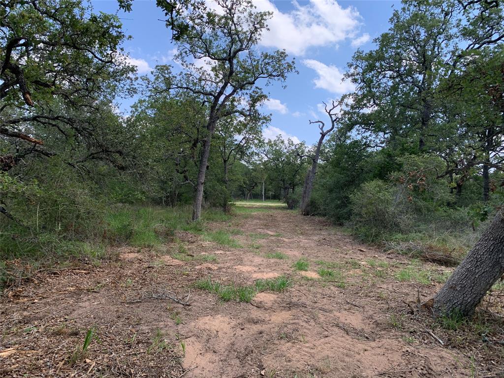 Private Road 1581  , Hallettsville, Texas image 17