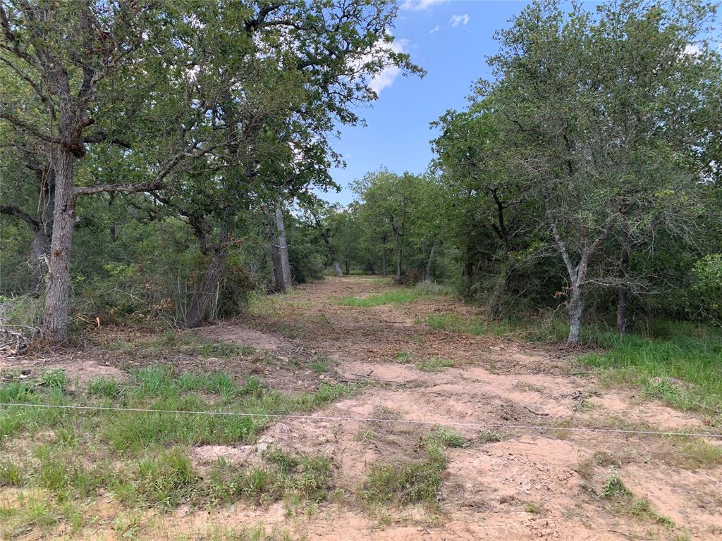 Private Road 1581  , Hallettsville, Texas image 19