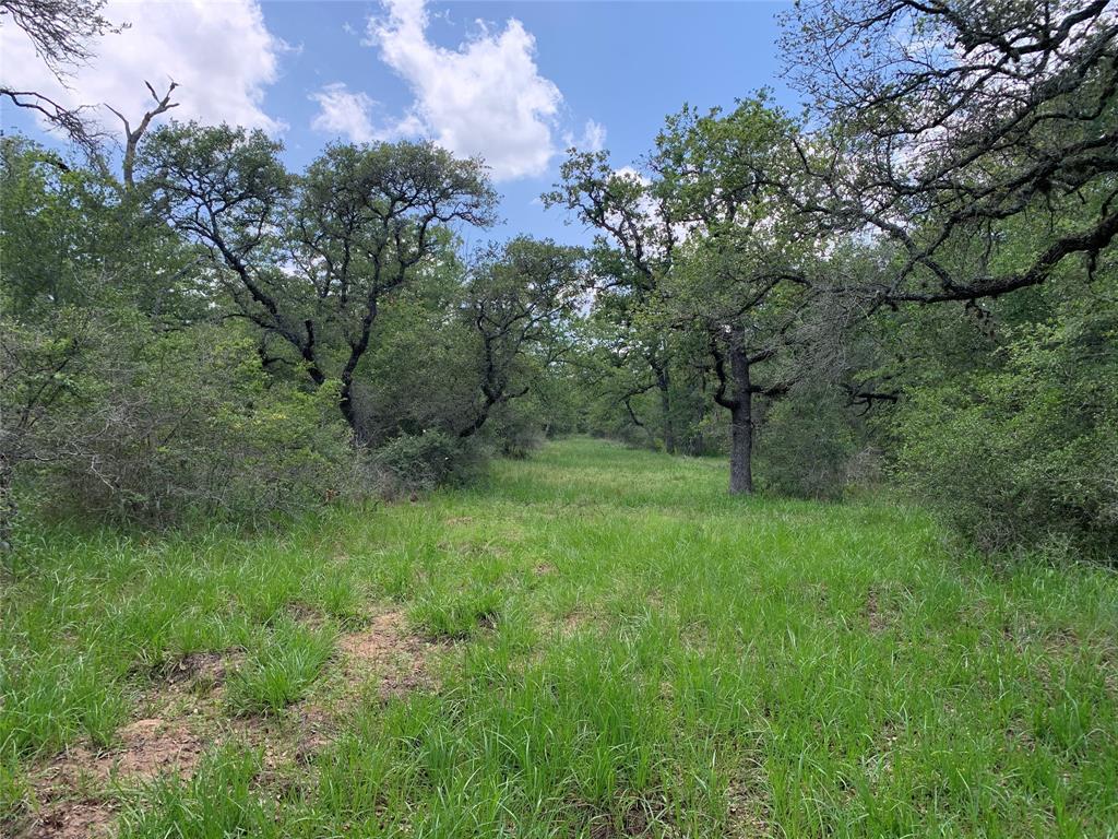 Private Road 1581  , Hallettsville, Texas image 20