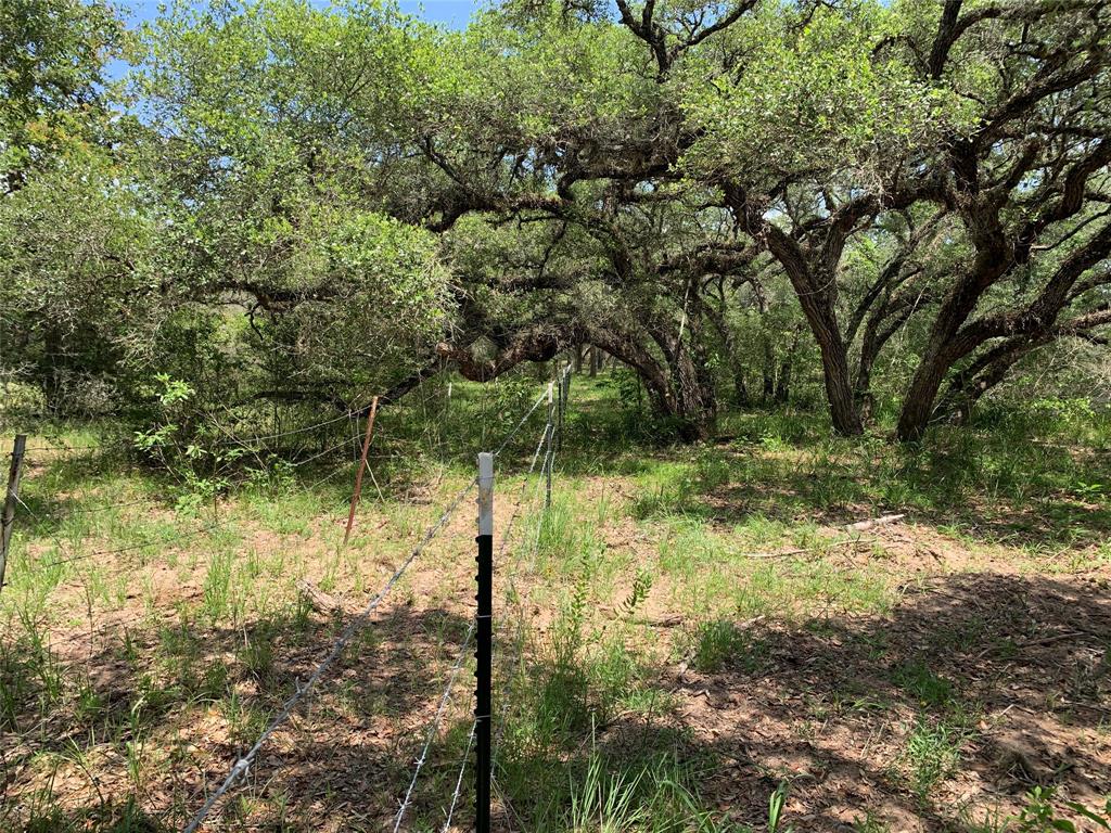 Private Road 1581  , Hallettsville, Texas image 9