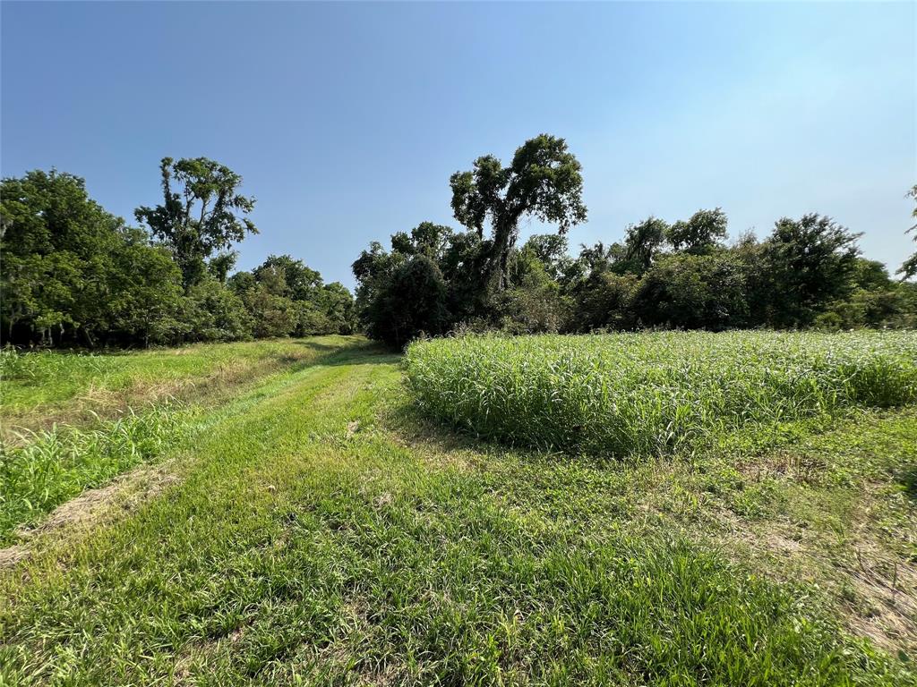 Hwy 35 / Cr-300f  , West Columbia, Texas image 15