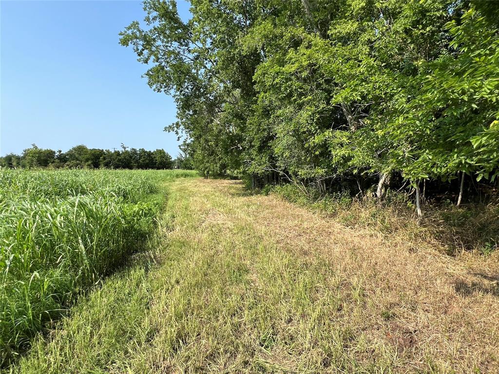 Hwy 35 / Cr-300f  , West Columbia, Texas image 19