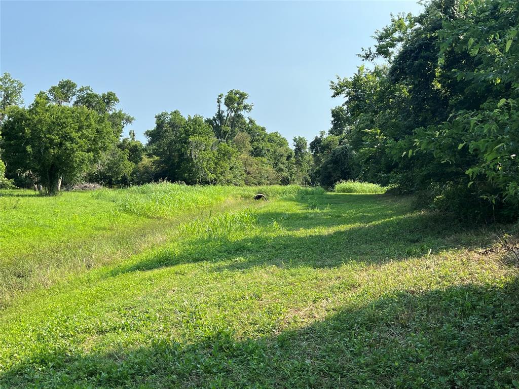 Hwy 35 / Cr-300f  , West Columbia, Texas image 26