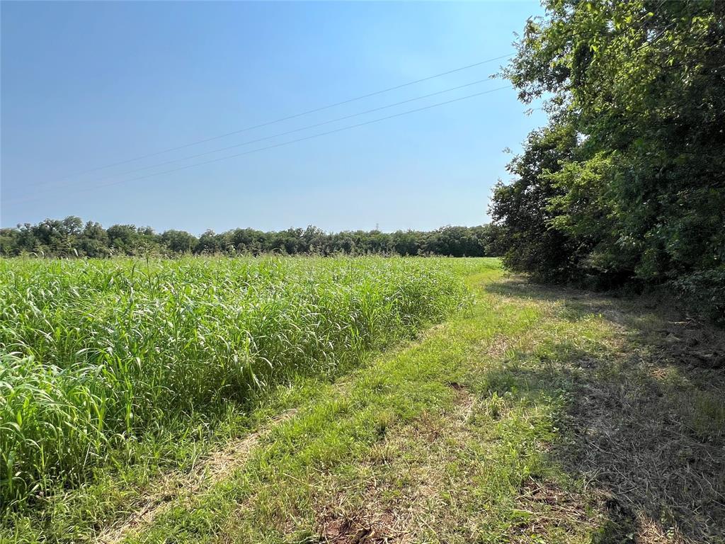 Hwy 35 / Cr-300f  , West Columbia, Texas image 5