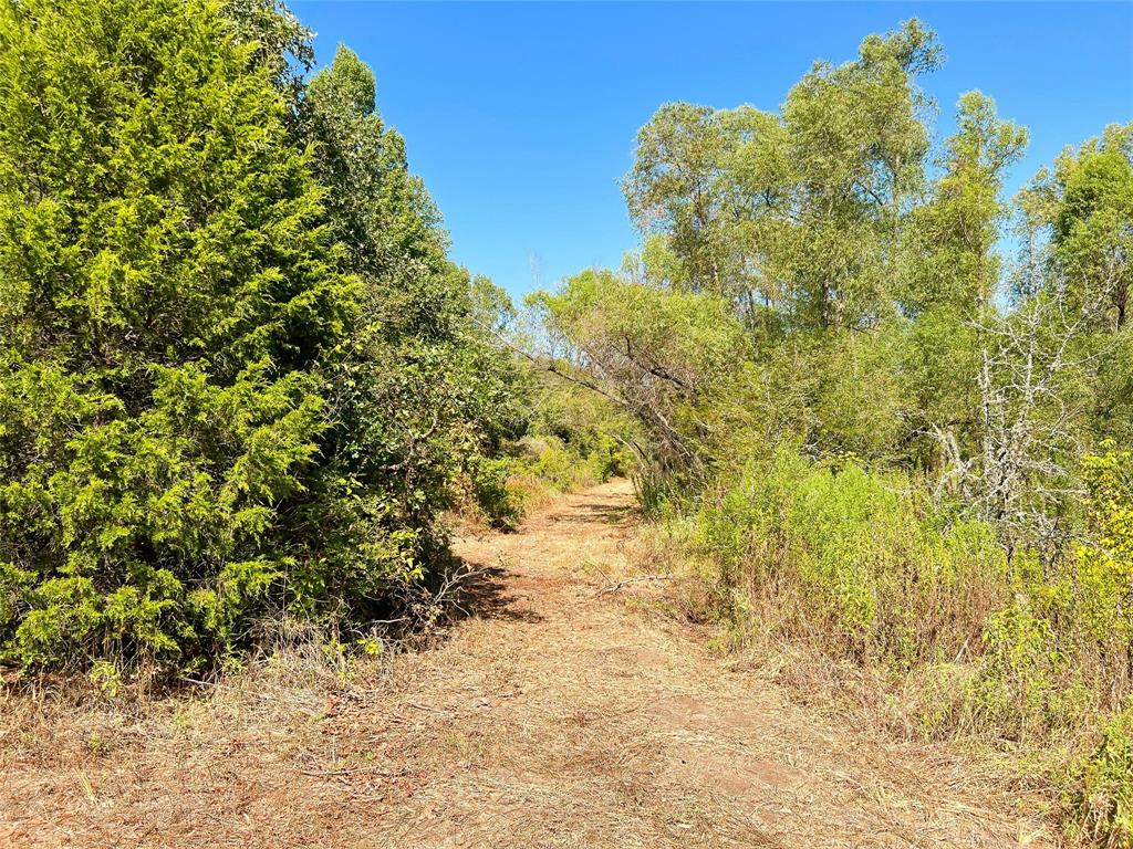 Tbd Cr 290  , Oakwood, Texas image 11