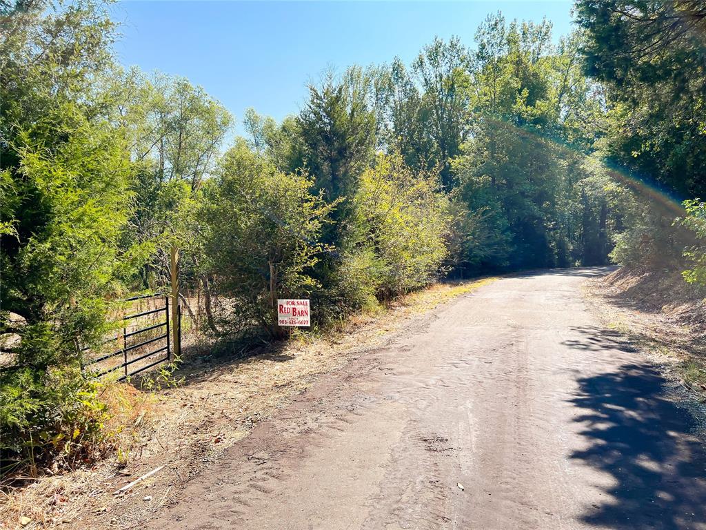 Tbd Cr 290  , Oakwood, Texas image 12