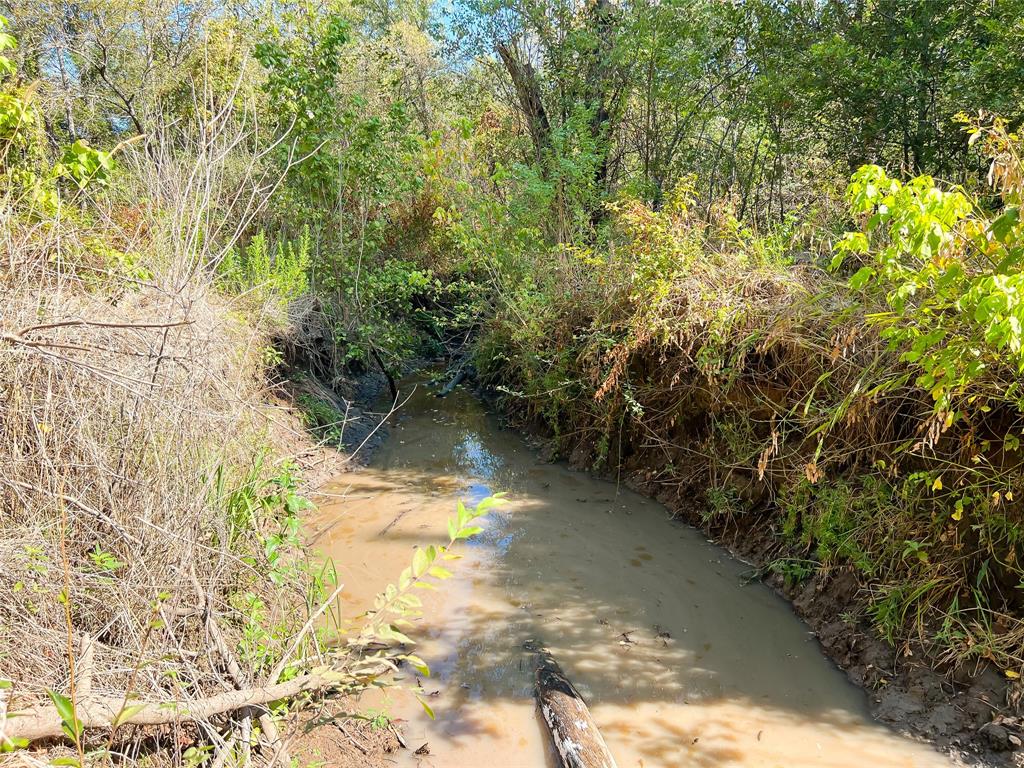 Tbd Cr 290  , Oakwood, Texas image 5