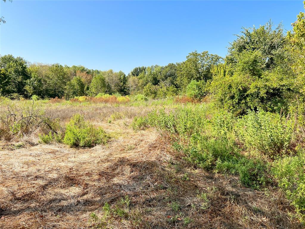 Tbd Cr 290  , Oakwood, Texas image 7