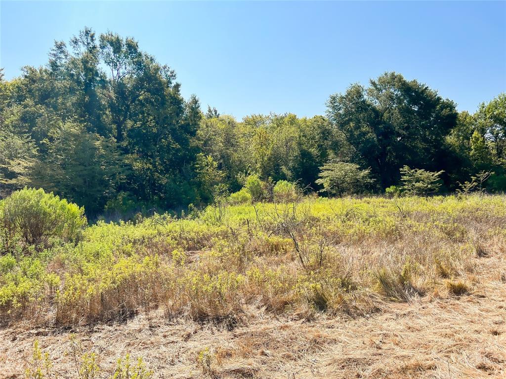 Tbd Cr 290  , Oakwood, Texas image 8