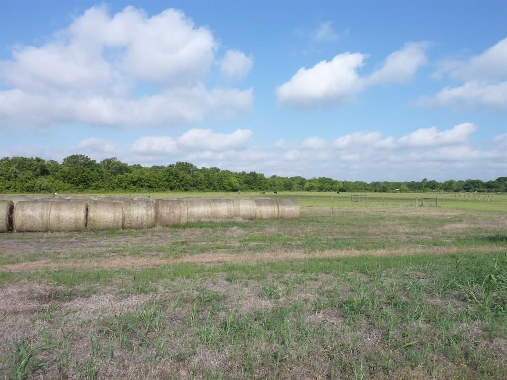 9300 County Road 420  , Navasota, Texas image 7