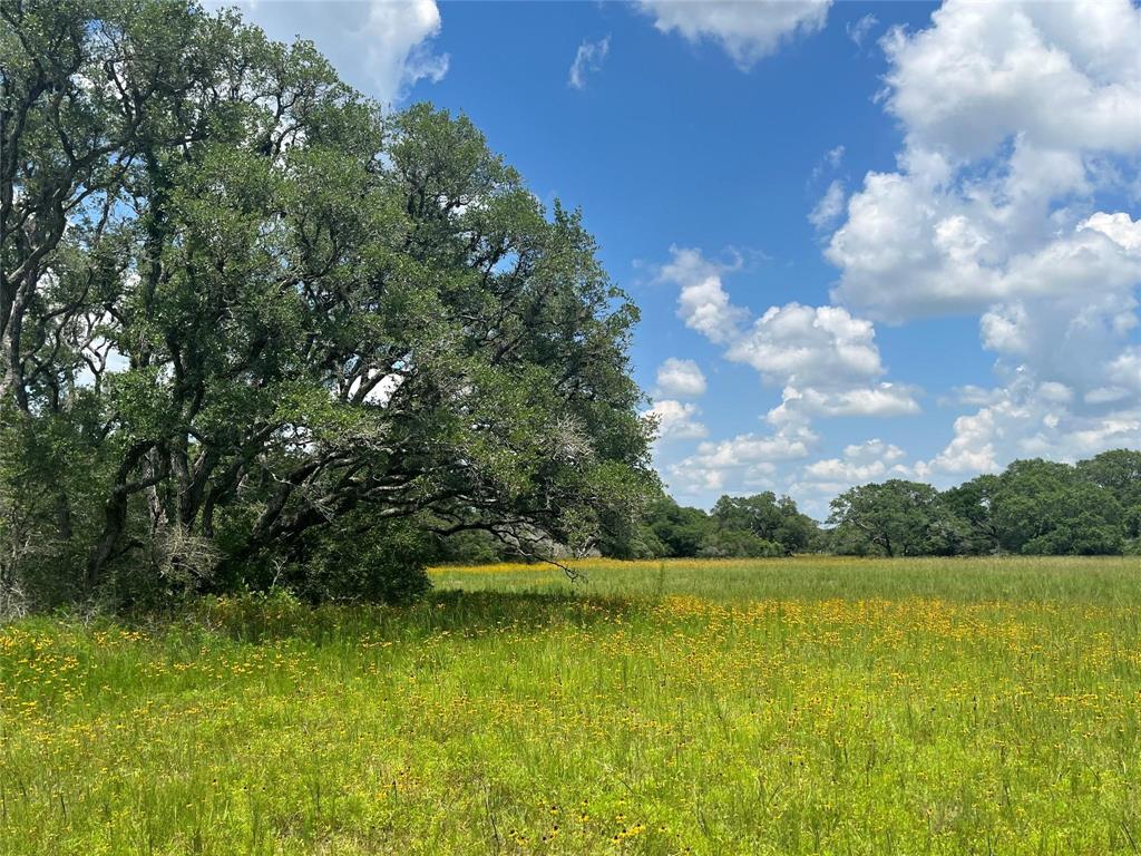 1101 Jessica Lane , Altair, Texas image 7