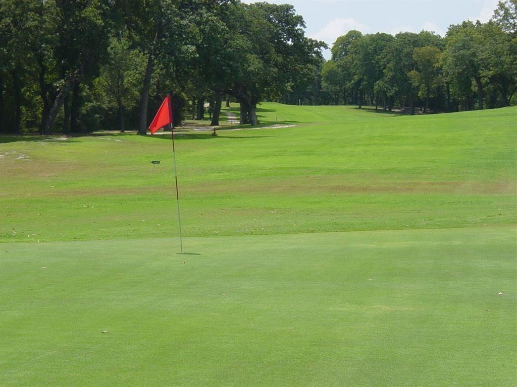 Ercoupe Lane , Hilltop Lakes, Texas image 5