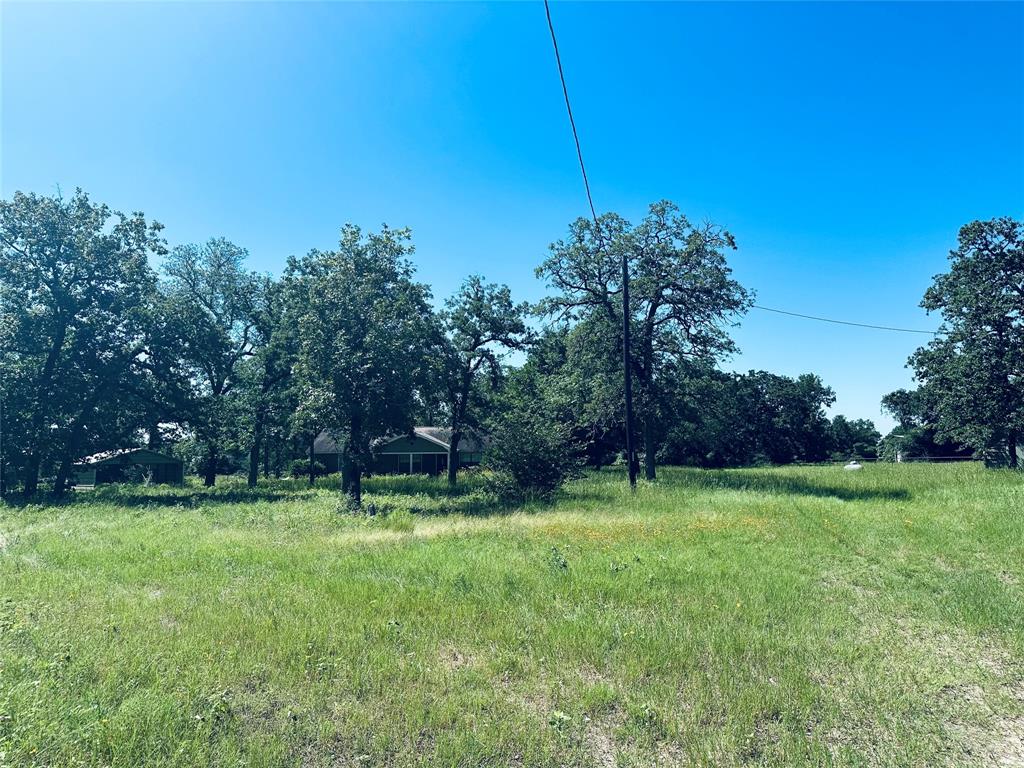 1157 County Road 2771  , Buffalo, Texas image 17