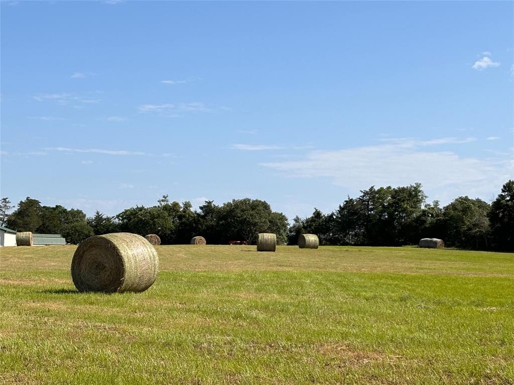 AG - Hay Production