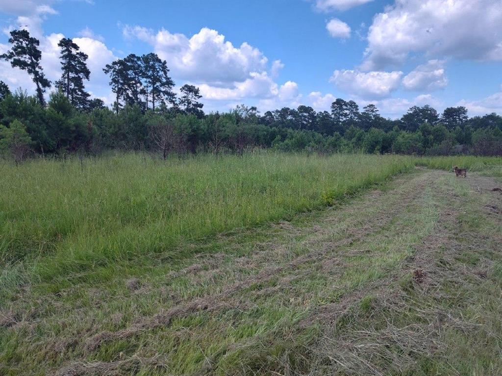 TBD County Road 1915  , Warren, Texas image 12