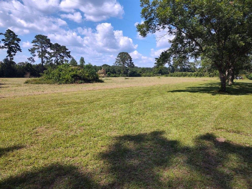 TBD County Road 1915  , Warren, Texas image 4