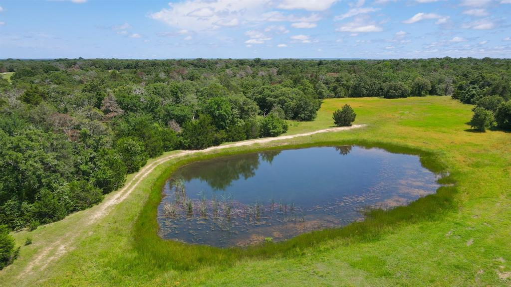 TBD County Road 162 And Edwards Lake- 30 Acres  , Somerville, Texas image 6