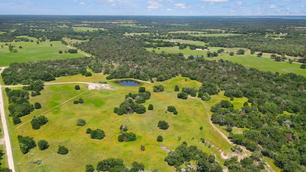 TBD County Road 162 And Edwards Lake- 30 Acres  , Somerville, Texas image 7