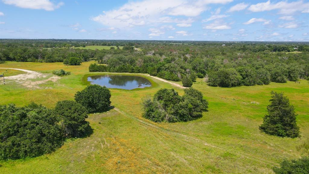 TBD County Road 162 And Edwards Lake- 30 Acres  , Somerville, Texas image 9