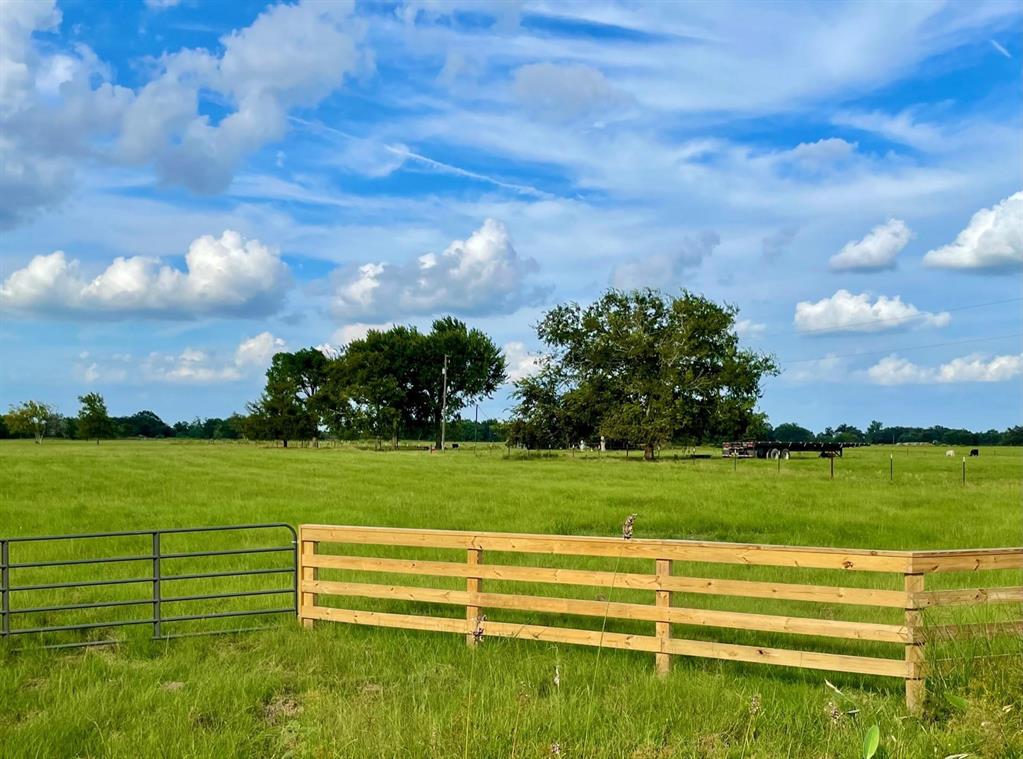 606 Raccoon Bend Road , Bellville, Texas image 6