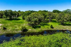 5340 (12 Acres) County Road 373, Caldwell, TX 77836