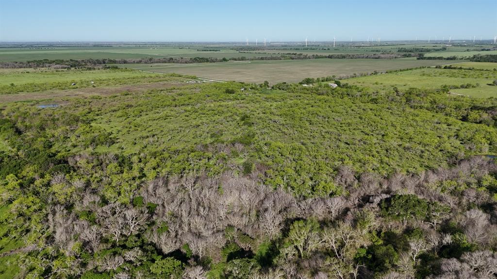 1127 Limestone County Road 607  , Groesbeck, Texas image 33