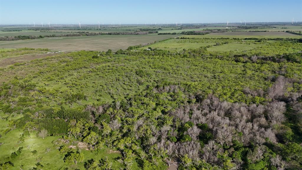 1127 Limestone County Road 607  , Groesbeck, Texas image 34