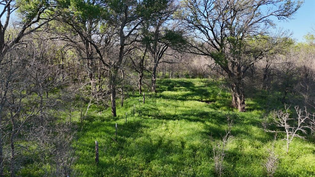 1127 Limestone County Road 607  , Groesbeck, Texas image 37