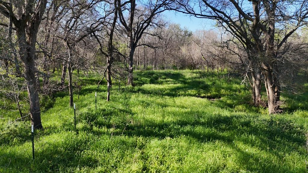 1127 Limestone County Road 607  , Groesbeck, Texas image 38