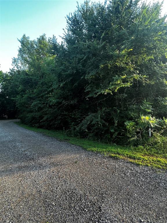 Taxiway  , Frankston, Texas image 4