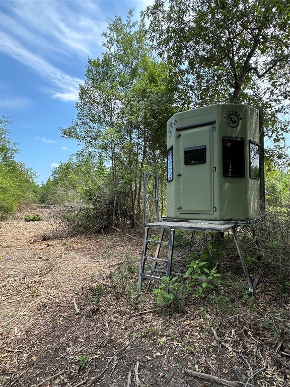 720 County Road 2834  , Colmesneil, Texas image 35