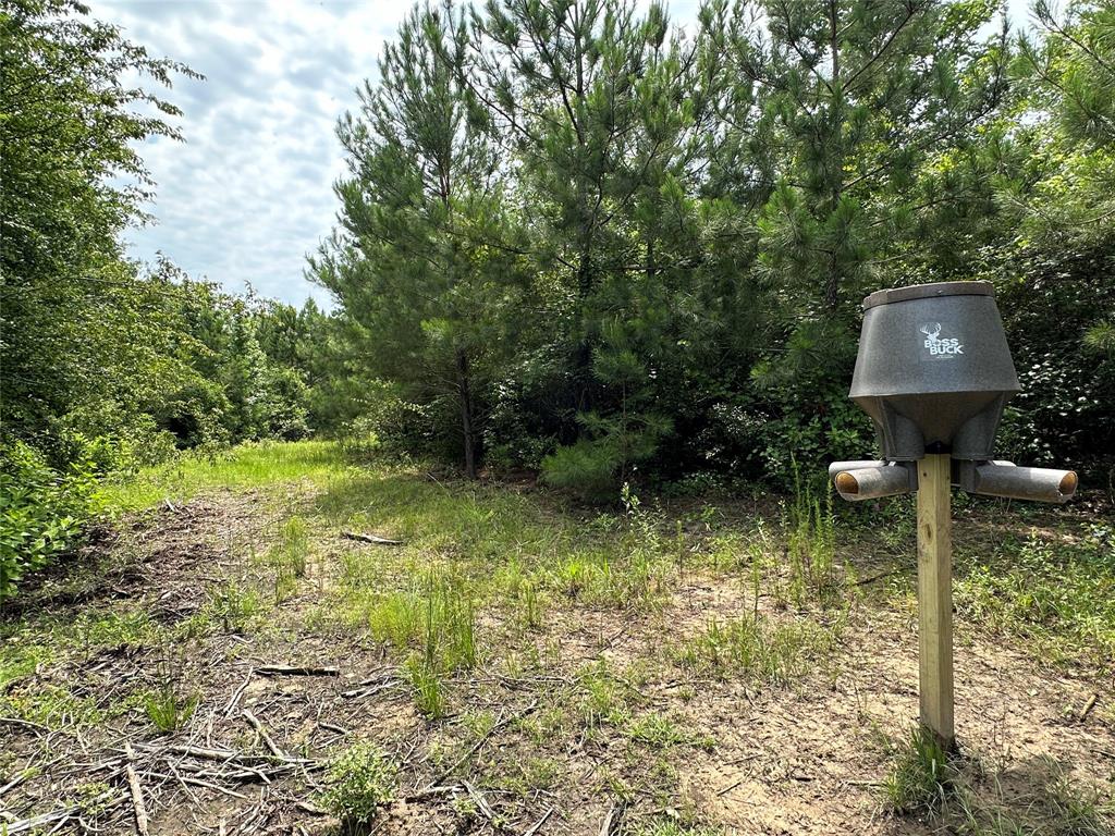 720 County Road 2834  , Colmesneil, Texas image 36