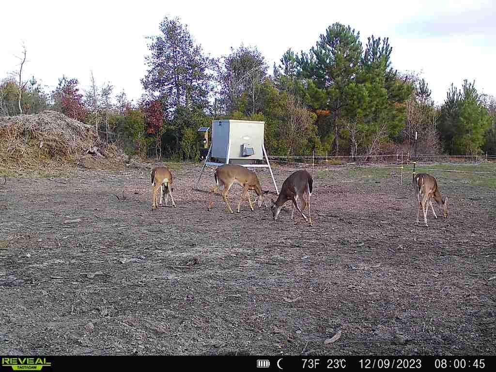 720 County Road 2834  , Colmesneil, Texas image 43