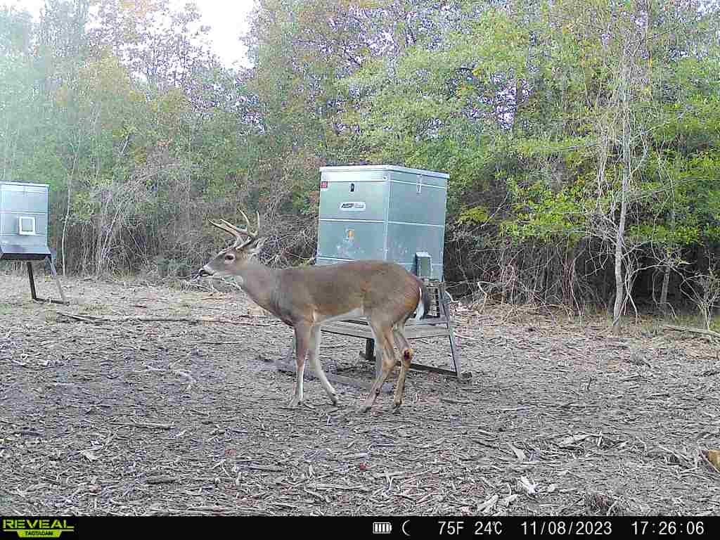 720 County Road 2834  , Colmesneil, Texas image 47