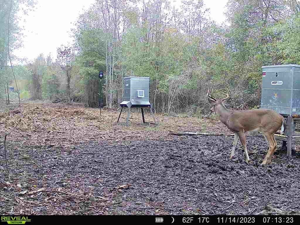 720 County Road 2834  , Colmesneil, Texas image 48