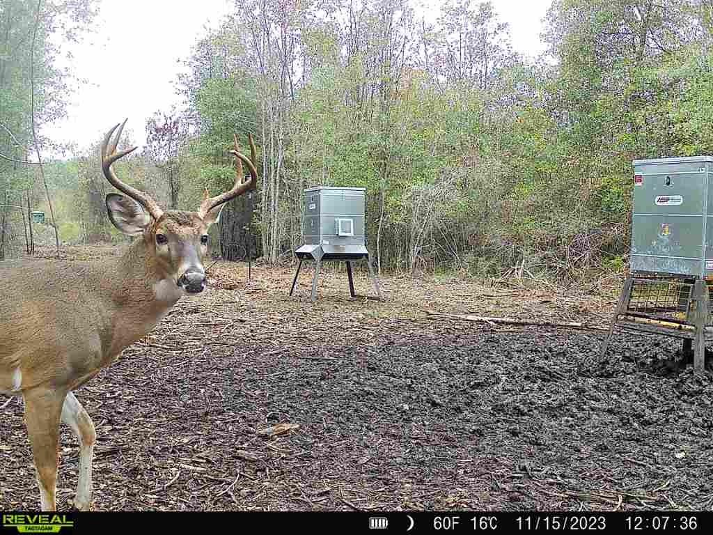 720 County Road 2834  , Colmesneil, Texas image 50