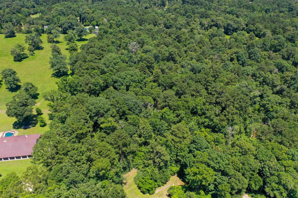 At the bottom of this photo, you will see a clearing which is where the road ends and the property starts.  There are a lot of hardwoods on the property, and they are beautiful.