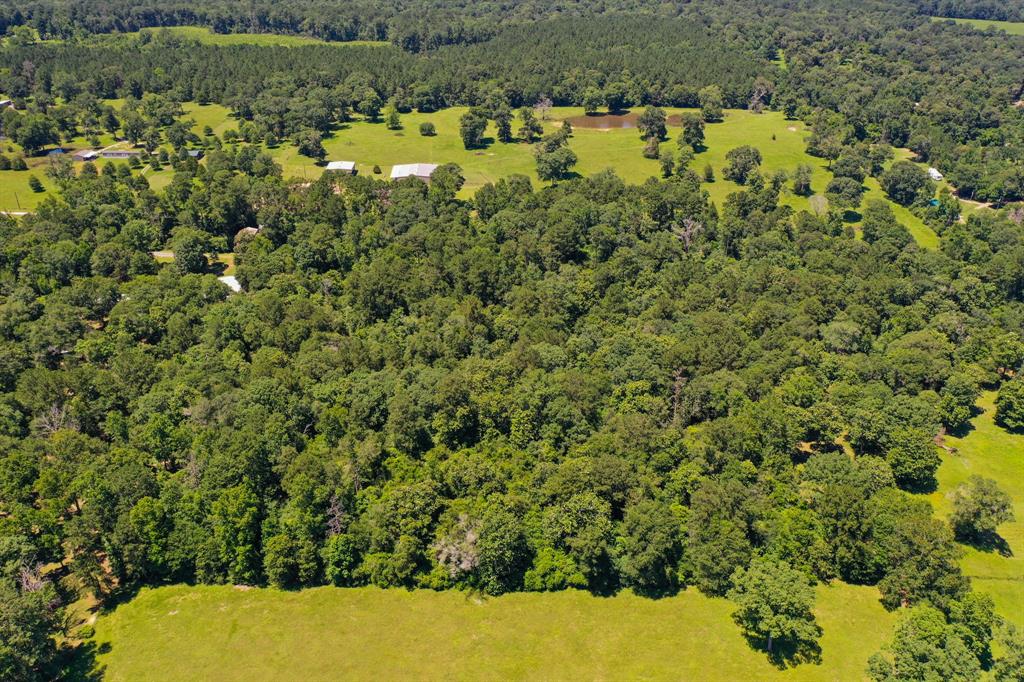 TBD Deepwoods  , Shepherd, Texas image 9