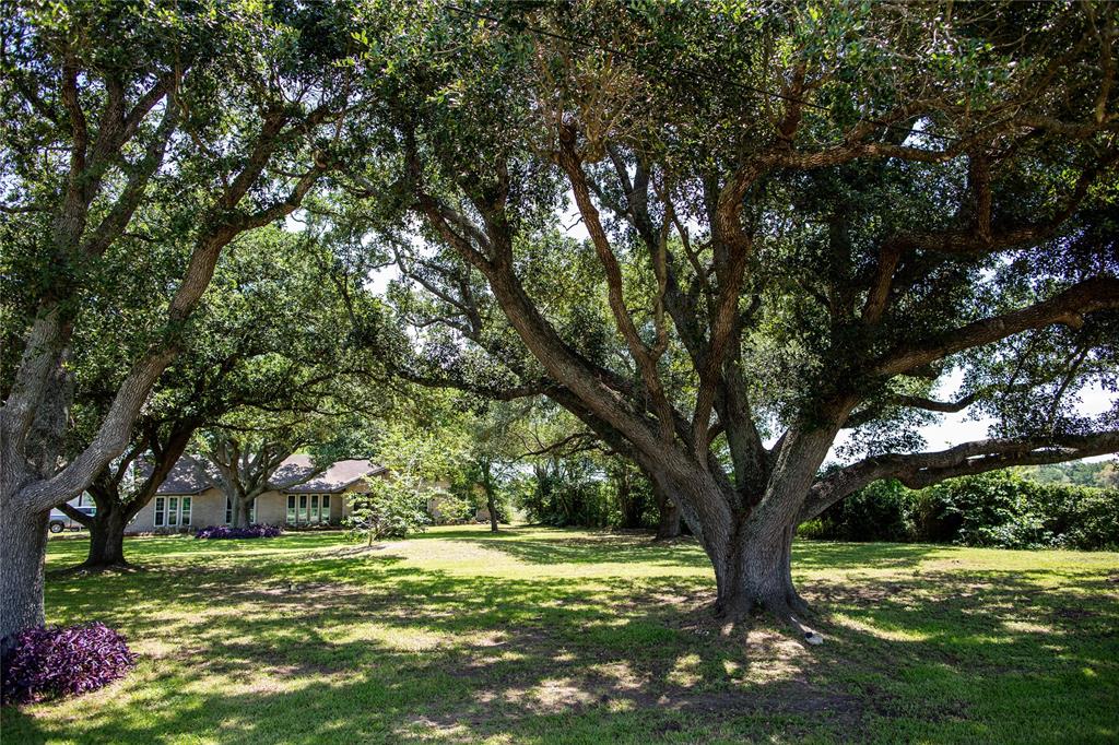 1704 County Road 291  , East Bernard, Texas image 4